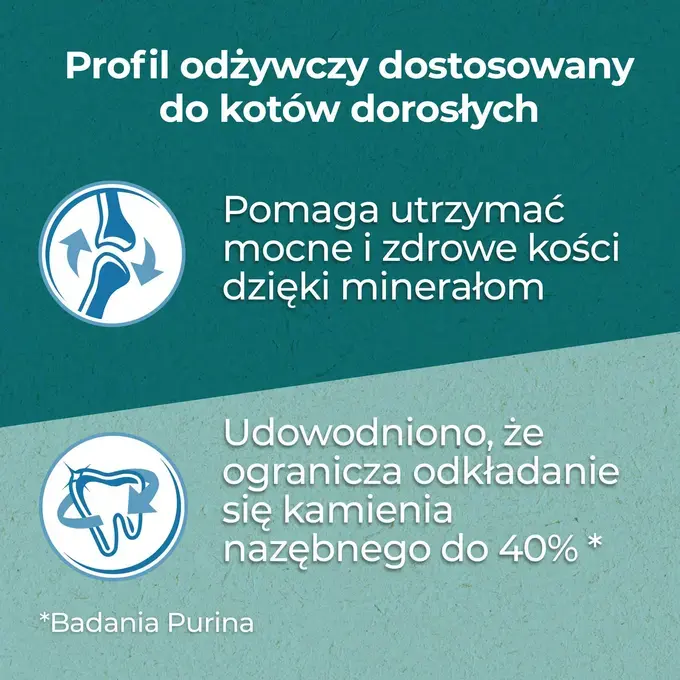 Karma Purina One Mini Active Kurczak 800G - Ceny i opinie